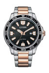 CITIZEN Eco-Drive Two Tone Stainless Steel Bracelet